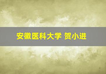 安徽医科大学 贺小进